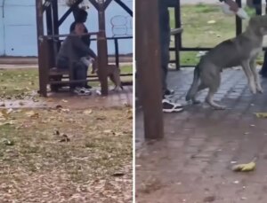 Adana’da kaydedilen görüntü “Yok artık” dedirtti