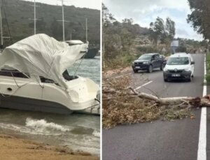 Gözde tatil beldemizi fırtına vurdu! Tekne karaya oturdu, ağaçlar devrildi