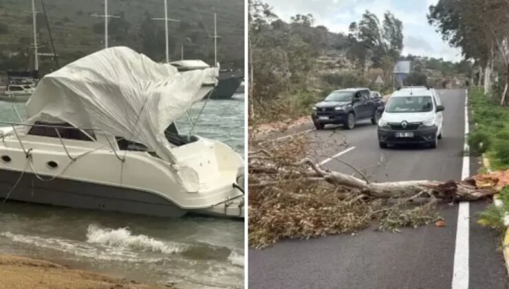 Gözde tatil beldemizi fırtına vurdu! Tekne karaya oturdu, ağaçlar devrildi