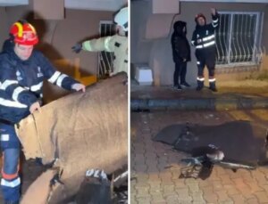 İstanbul’u fırtına vurdu! Çatılar uçtu