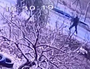 Kendisine doğru koşan köpeği tüfekle vurup öldürdü