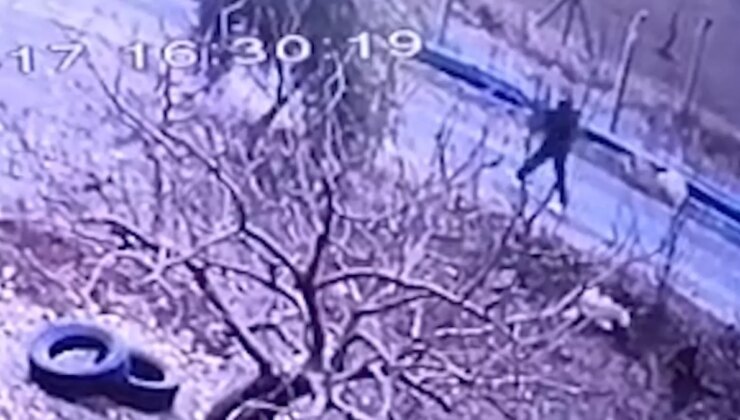 Kendisine doğru koşan köpeği tüfekle vurup öldürdü