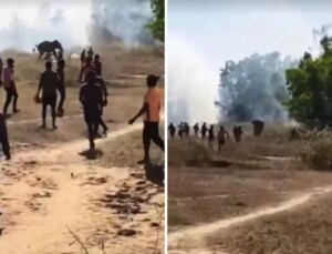 Kontrolden çıkan fil, 22 kişiyi öldürdü: Köylüler çatı ve ağaçlarda uyuyor