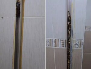 Öğrencilere kiraya verdiği eve giren kadın, gördüğü manzara karşısında sinir krizi geçirdi