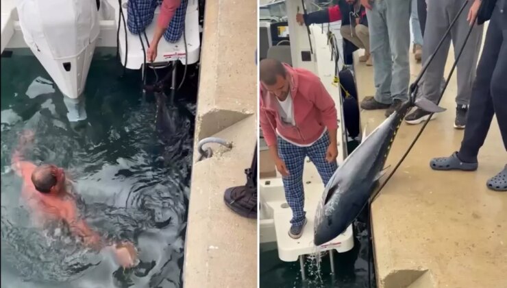 Soğuk engel olmadı, buz gibi suya girip 1.5 metrelik orkinos avladı
