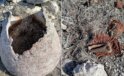 Su çekildi, küplerden insan kemikleri fışkırdı