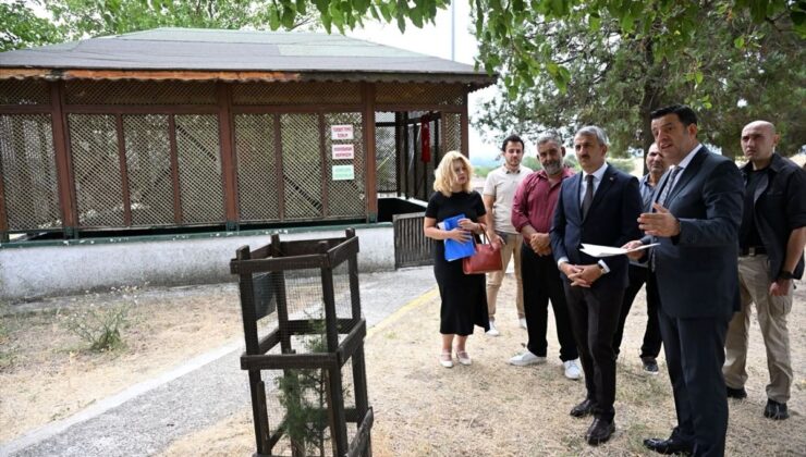 Edirne’de Hıdır Baba Türbesi’ne Mescit