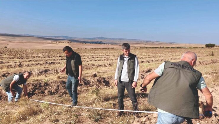 Yozgat’ta 50 Hektarlık Alanda Yeni Ağaçlandırma Planı