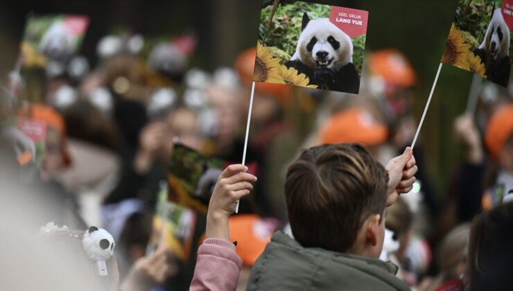 Çin’e gönderilecek yavru panda Lang Yue’yi taşıyan araç hayvanat bahçesinden ayrıldı